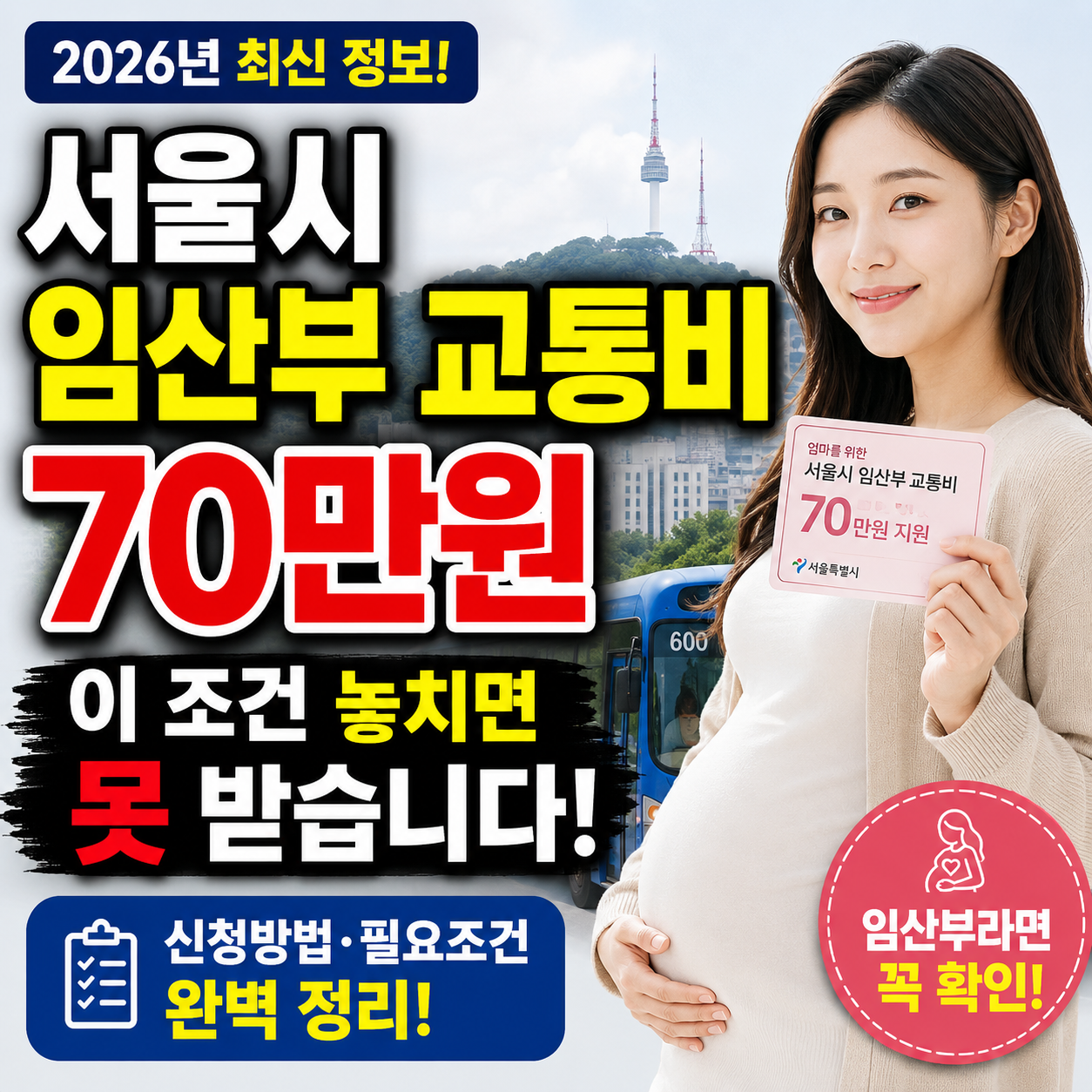 서울시 임산부 교통비 지원