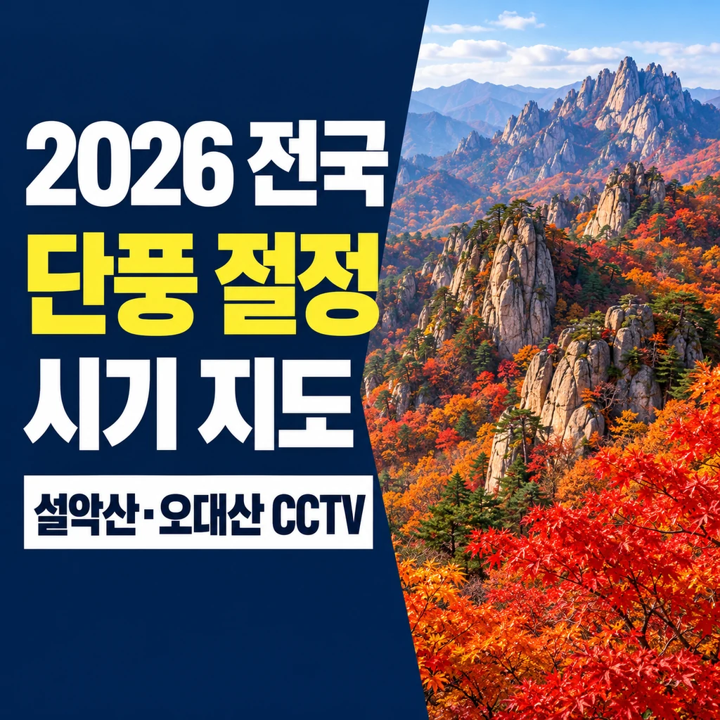 2026 전국 단풍 절정 시기 지도, 설악산·오대산 일정과 국립공원 CCTV 확인법
